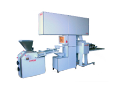 Conveyor lines MAPANVA